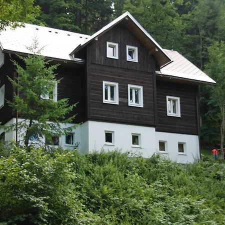 Na Cernem Potoce Villa Rokytnice nad Jizerou Kamer foto